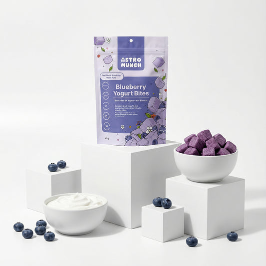 Blueberry Yogurt Bites