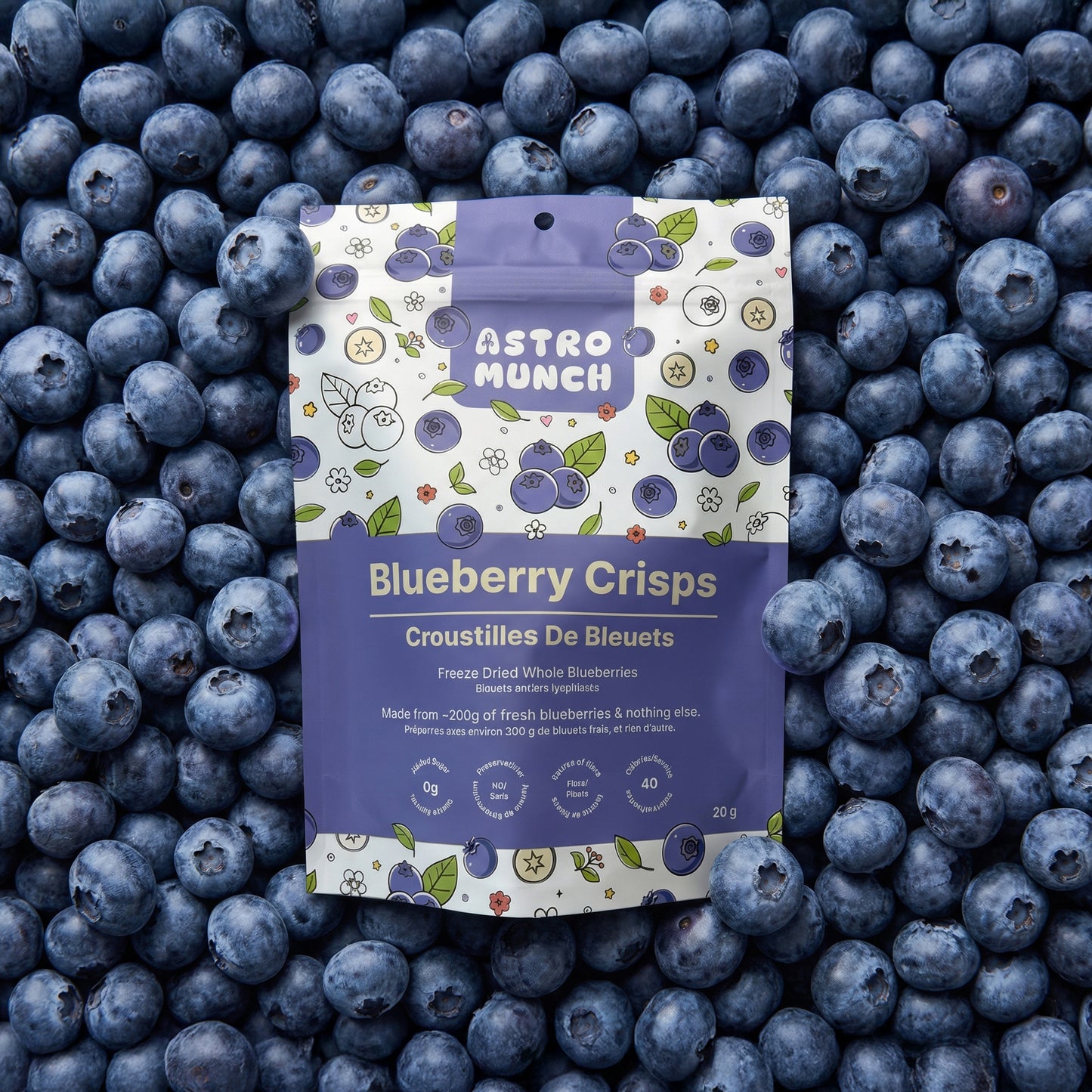 Blueberry Crisps - Freeze Dried Whole Blueberries