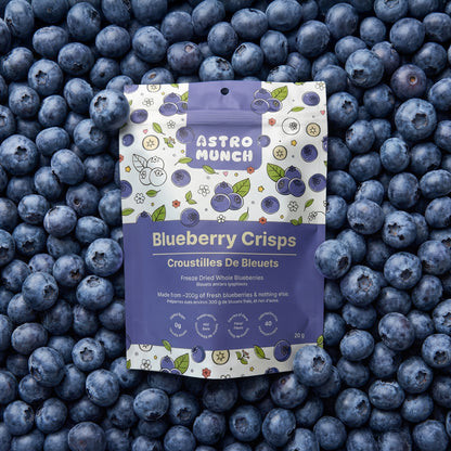 Blueberry Crisps - Freeze Dried Whole Blueberries