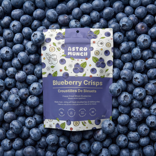 Blueberry Crisps - Freeze Dried Whole Blueberries