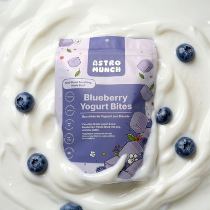Blueberry Yogurt Bites