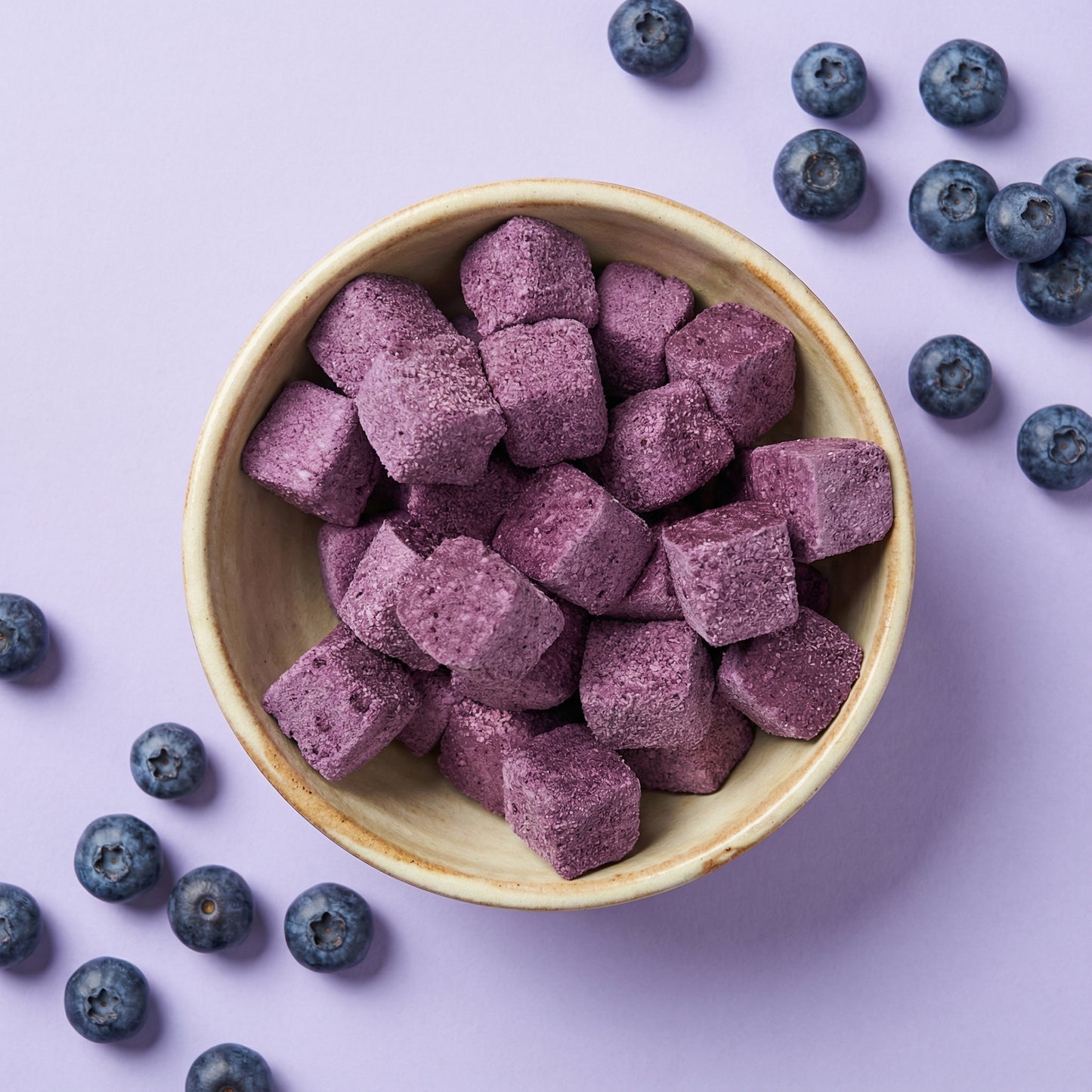 Blueberry Yogurt Bites