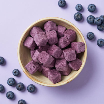 Blueberry Yogurt Bites